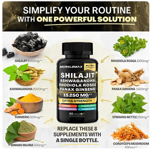 Shilajit + Ashwagandha + Rhodiola Rosea + Panax Ginseng – Suplemento Natural Energizante 60 Cápsulas