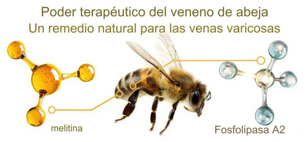 BEEVENOM 2X1 🐝 VARICOX VEINⓇ Veneno de abeja contra la VARICE + ULCERA + FLEBITIS